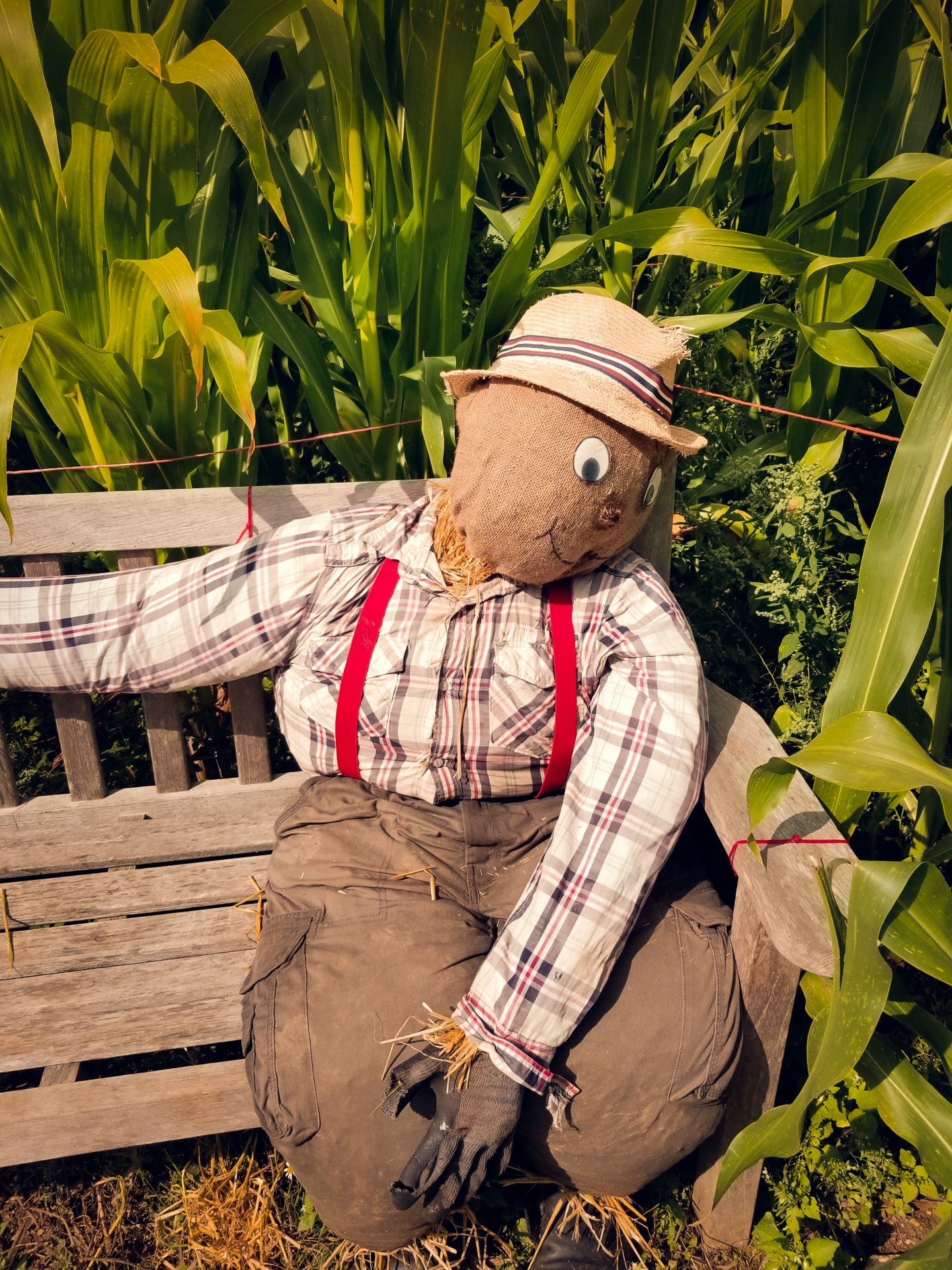 Scarecrow On A Bench