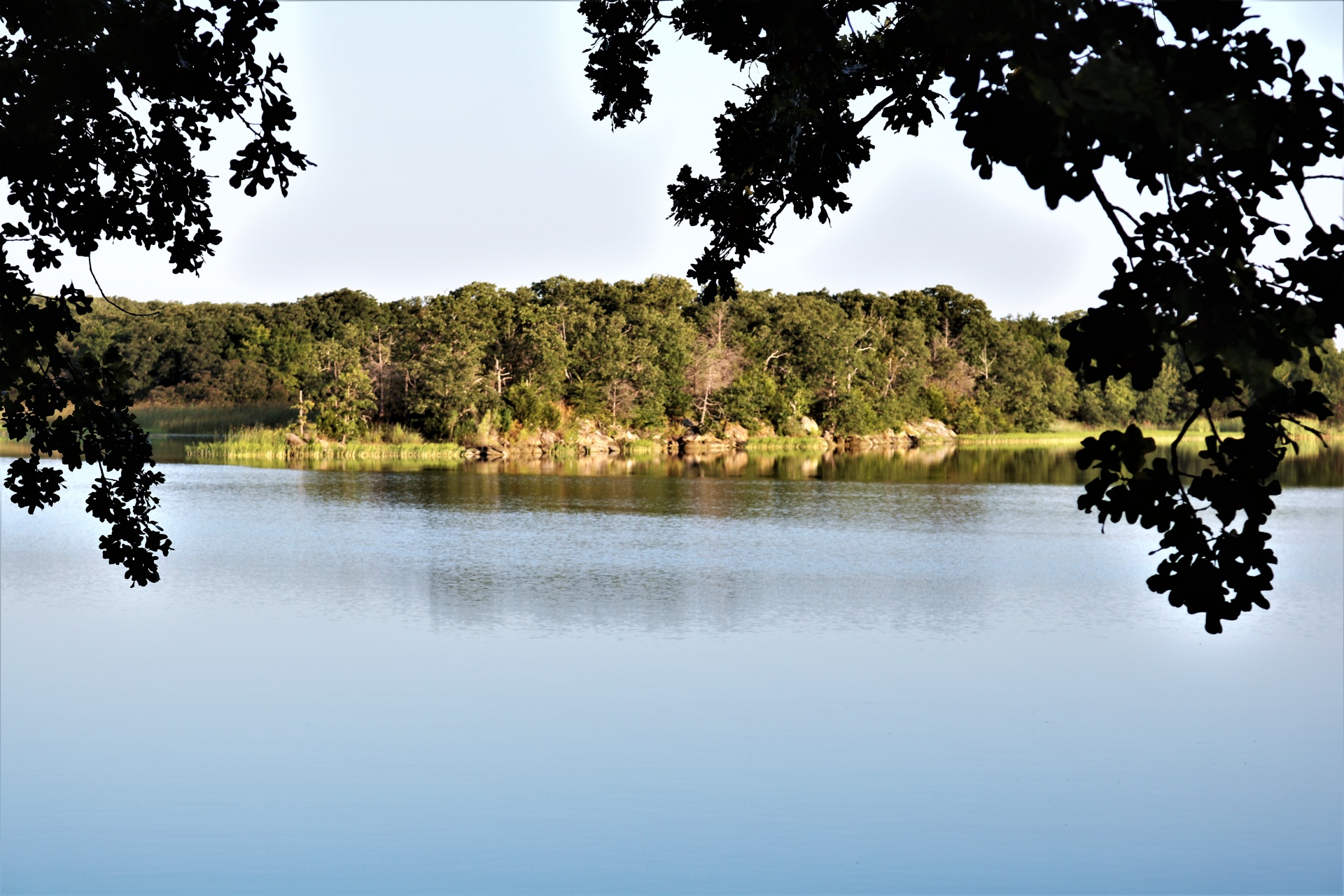 Výhled na jezero orámované stromy