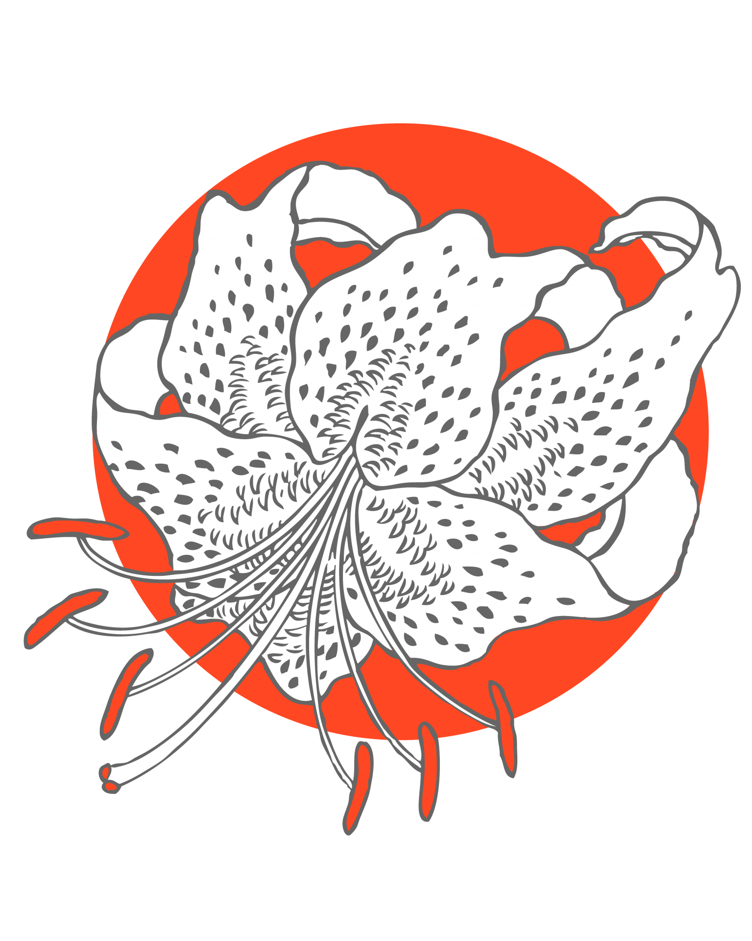 Logotipo da flor do lírio laranja