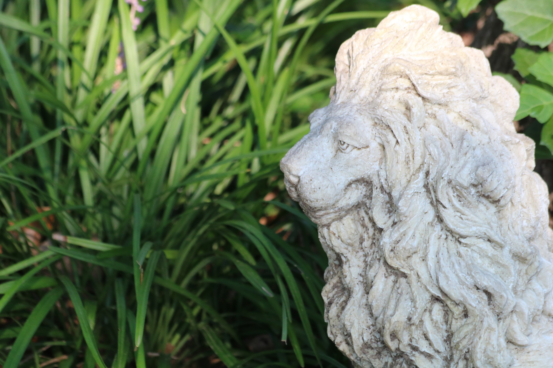 Socha lví hlavy v květinové zahradě
