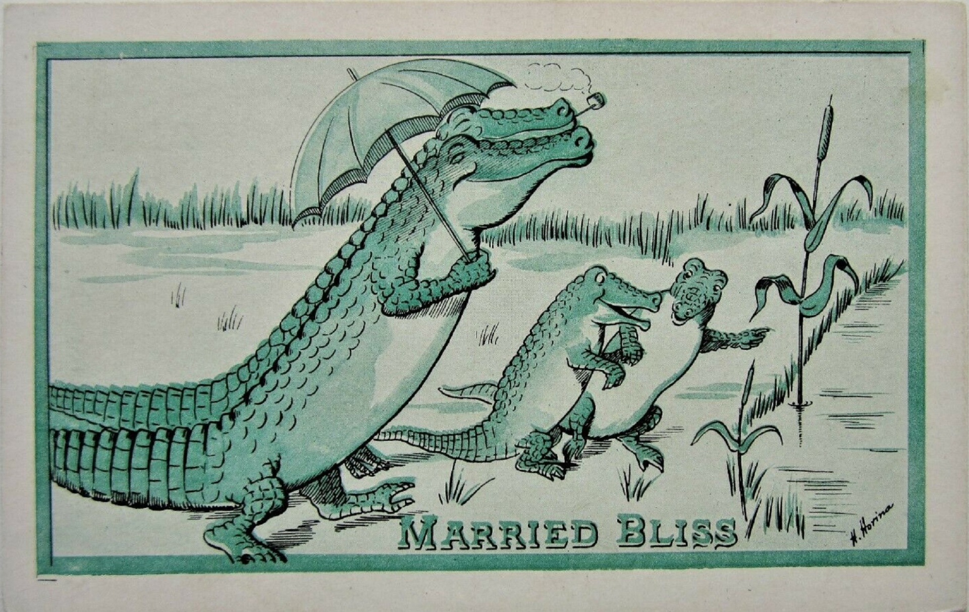 Crocodilo jacaré casado felicidade