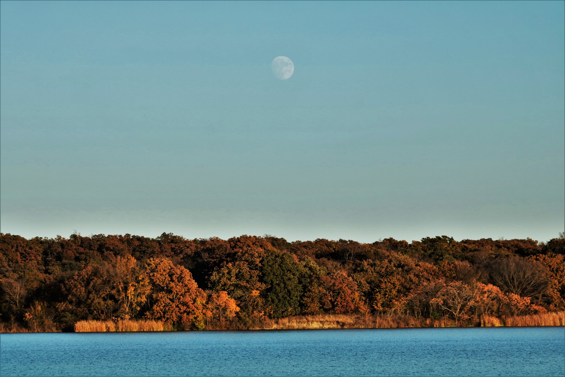 Moon Over Tree Lined Lake In Fall
