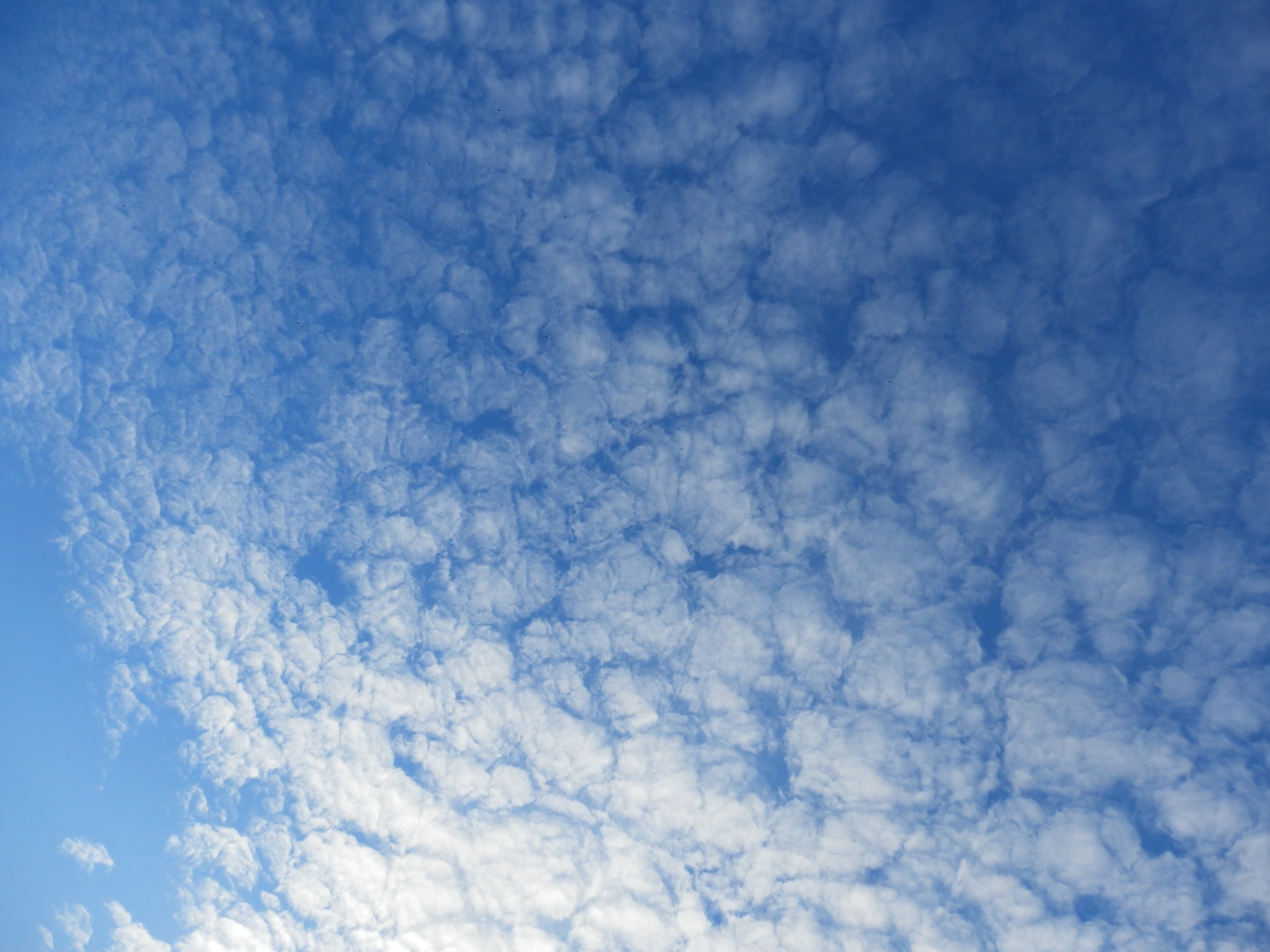 Motley Clouds Blue