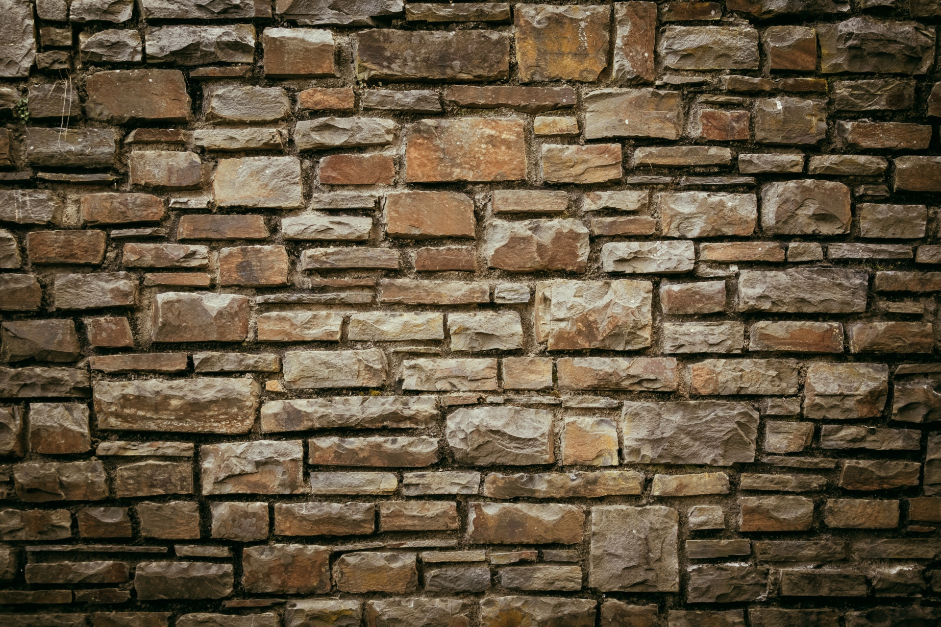 Viejo muro de piedra