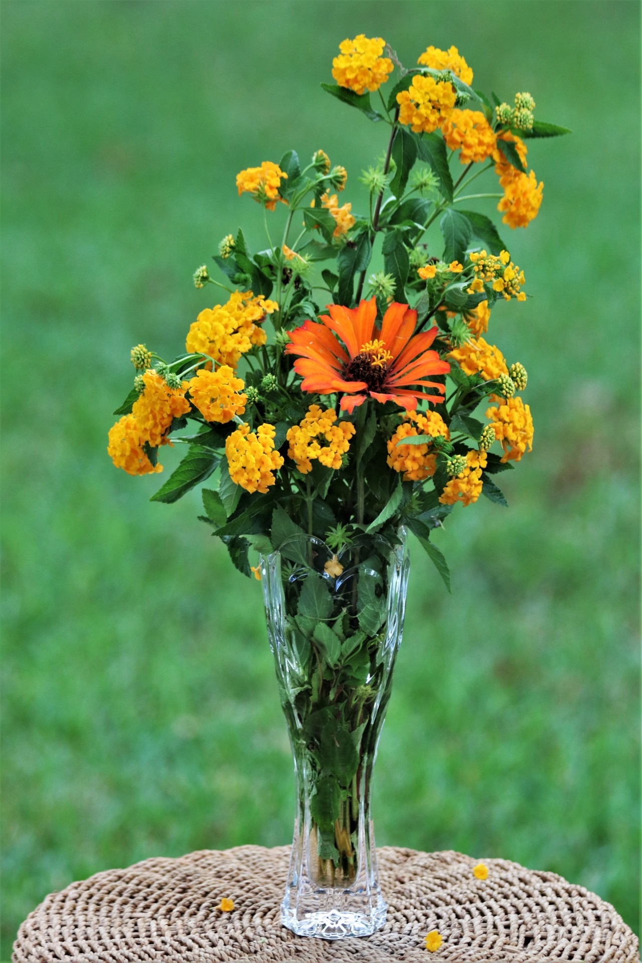 Oranžové a žluté květy ve váze