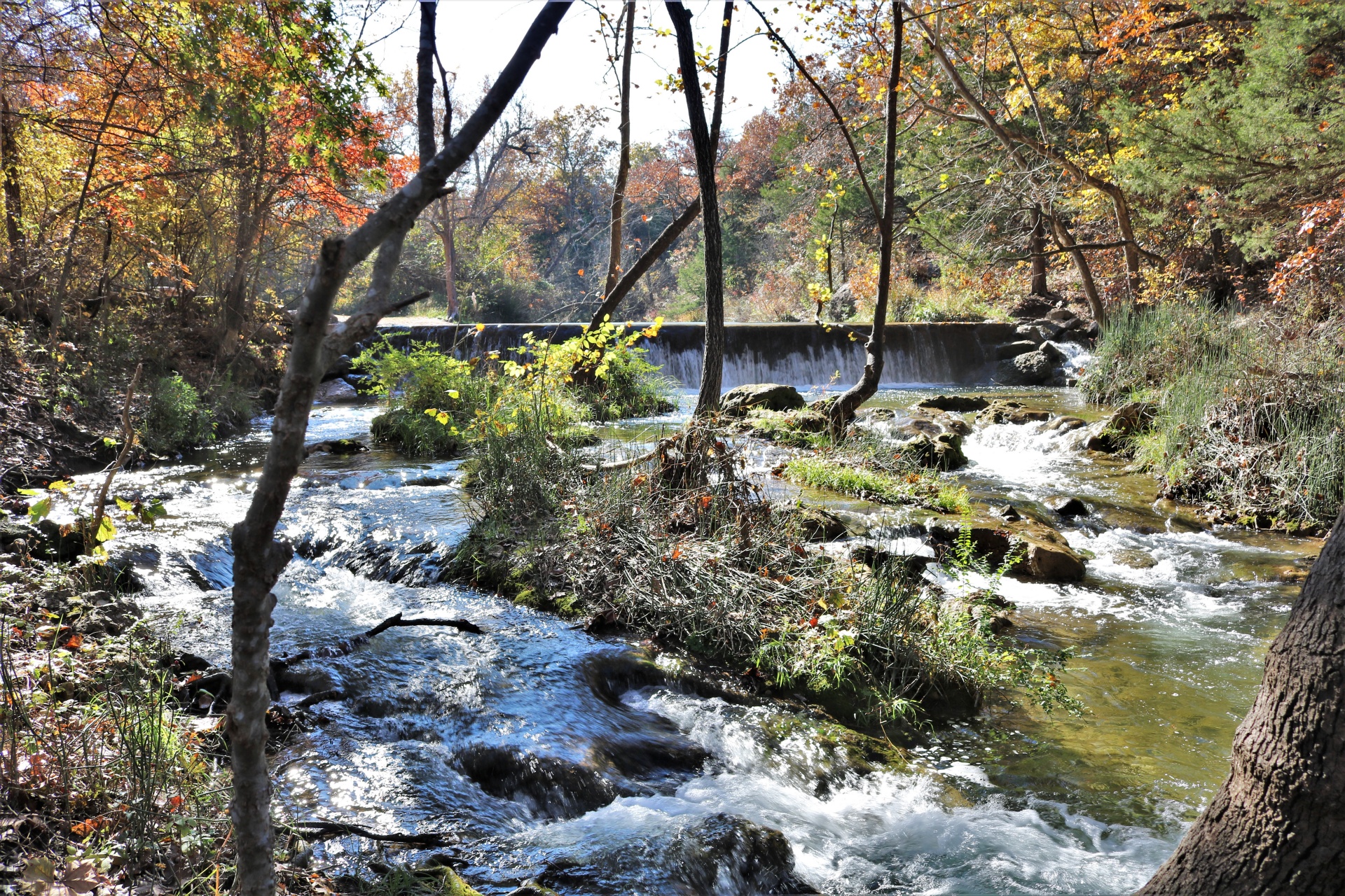 Panther Creek en otoño