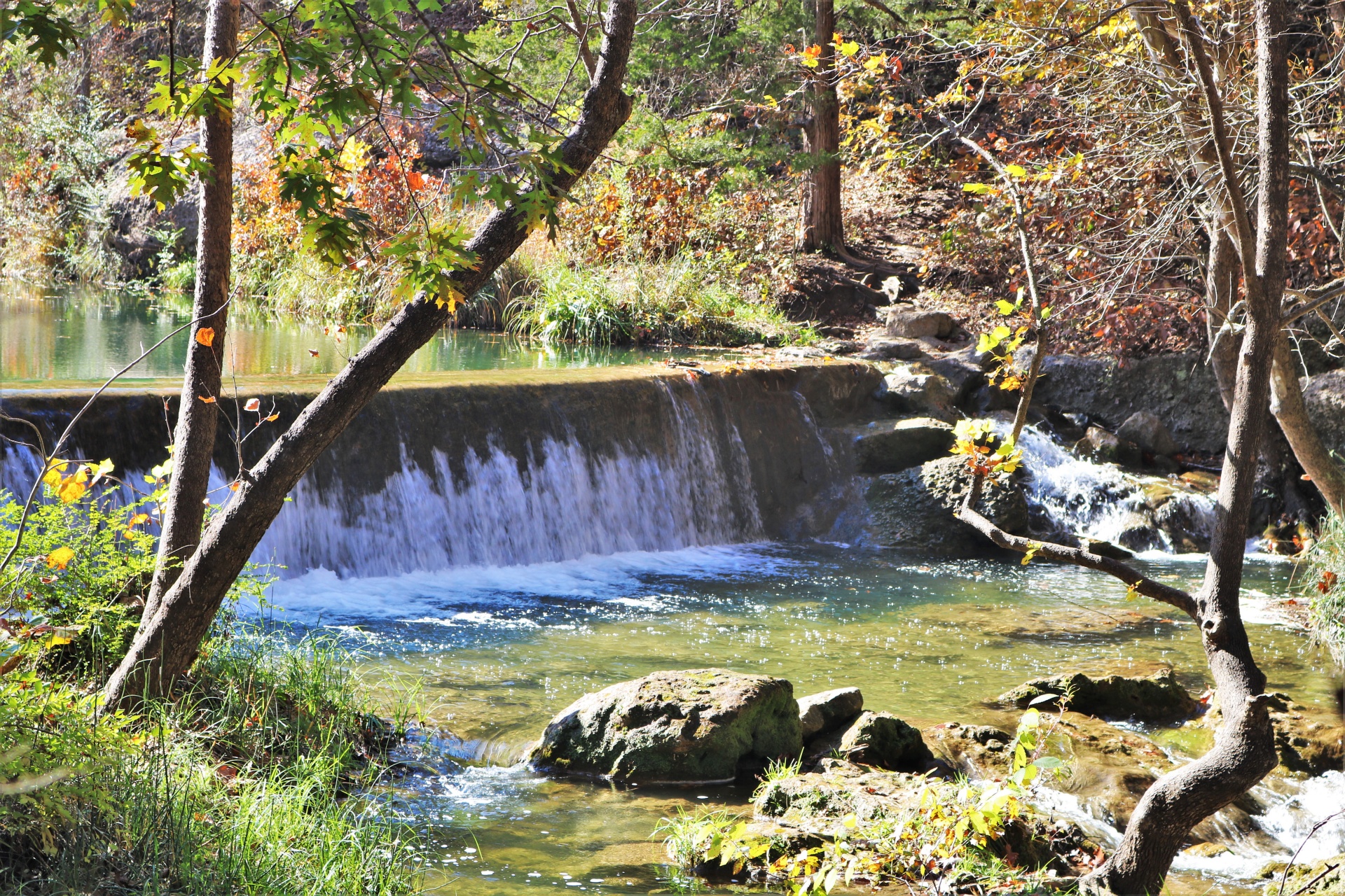 Panther Creek Waterfall en otoño