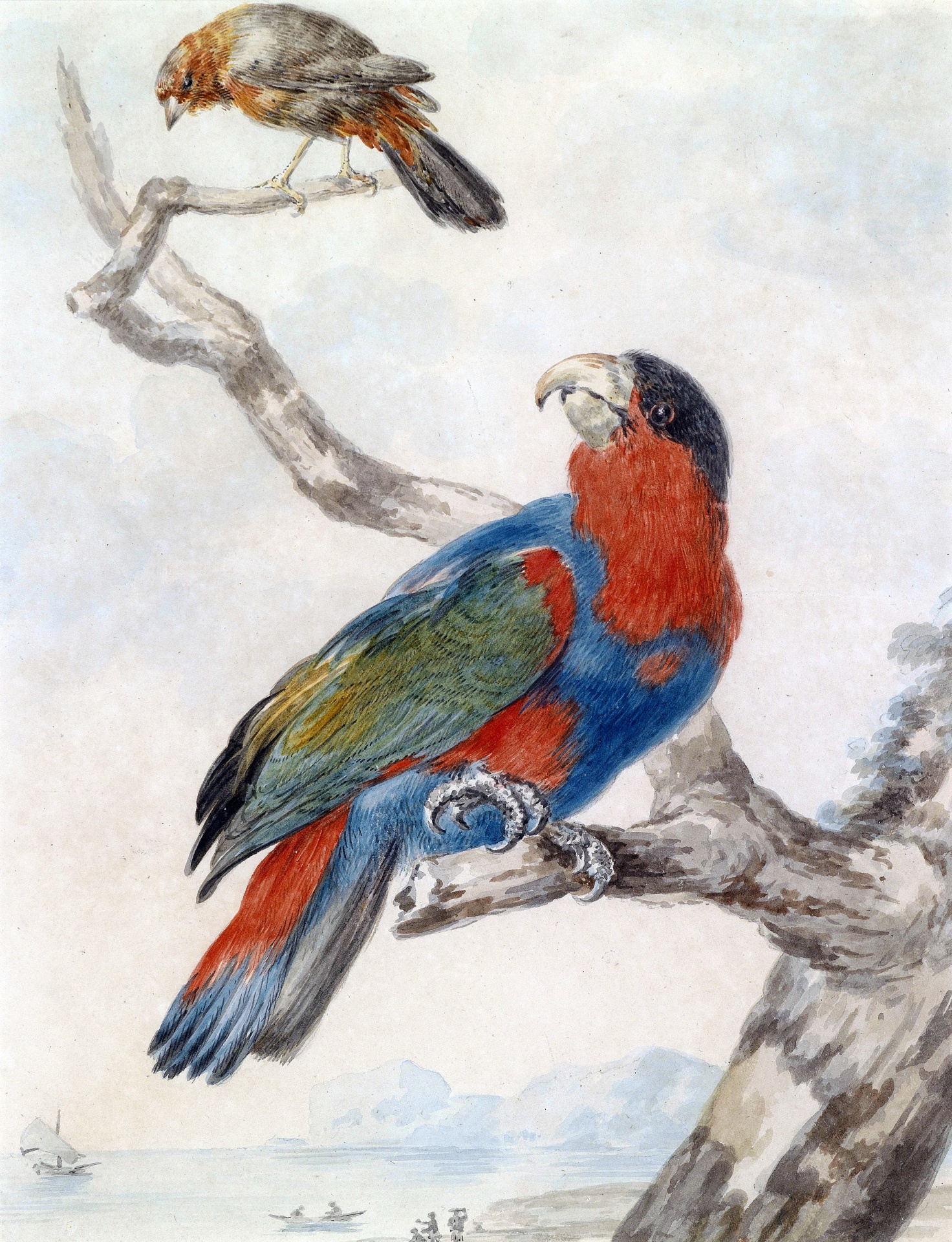 Pintura Do Vintage Do Papagaio