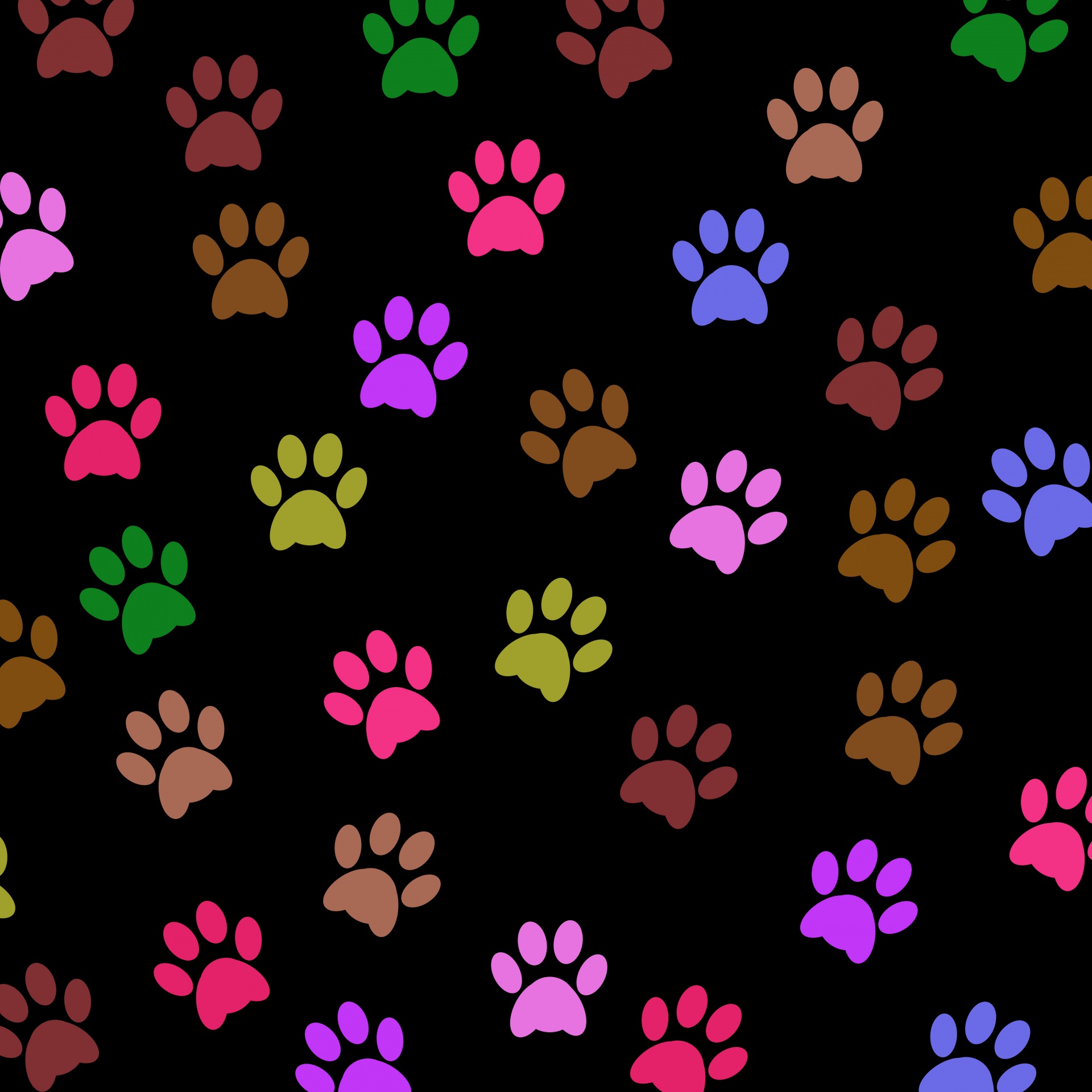Paw Prints Colorful Background