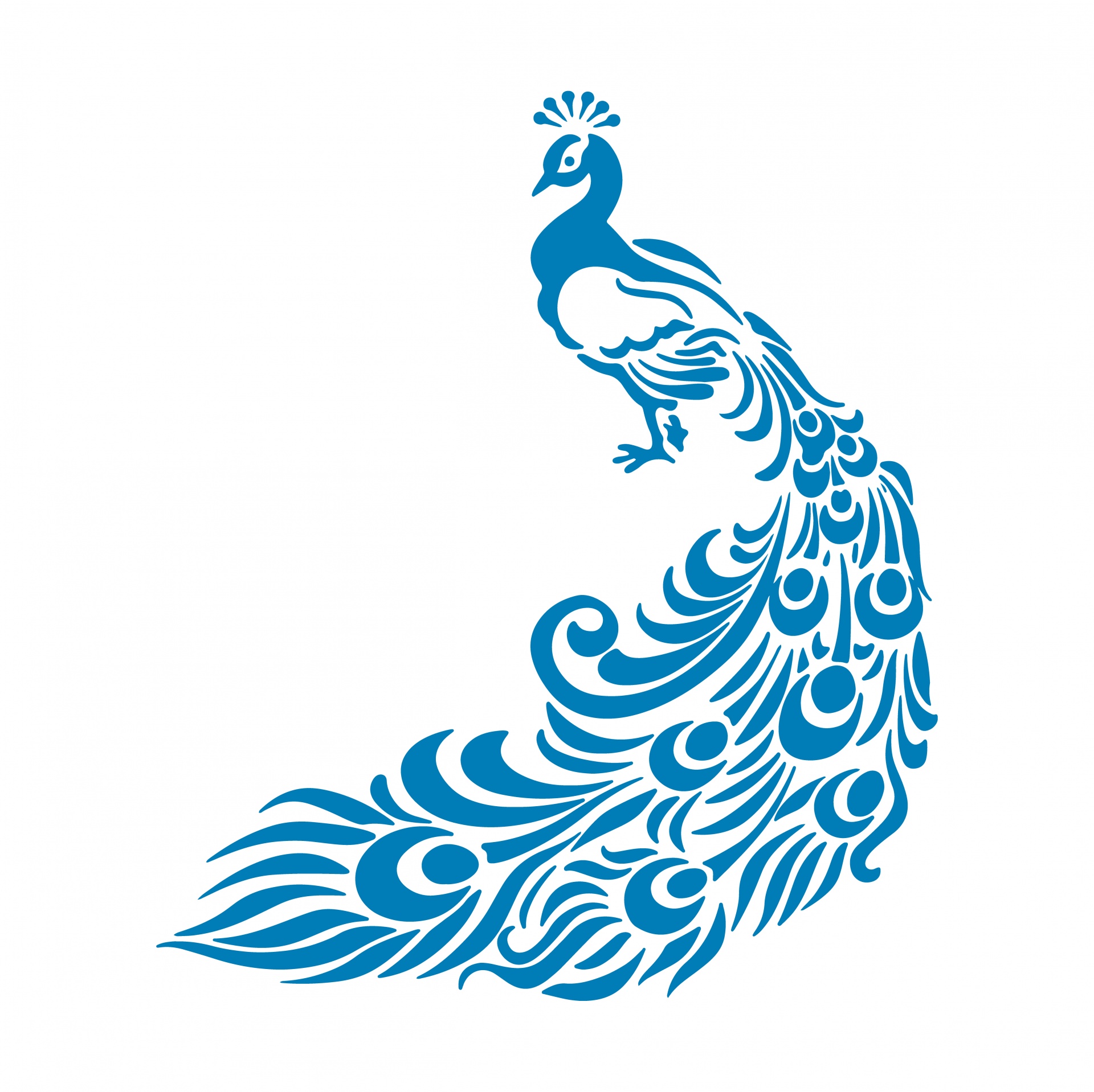 Peacock Blue Clip Art