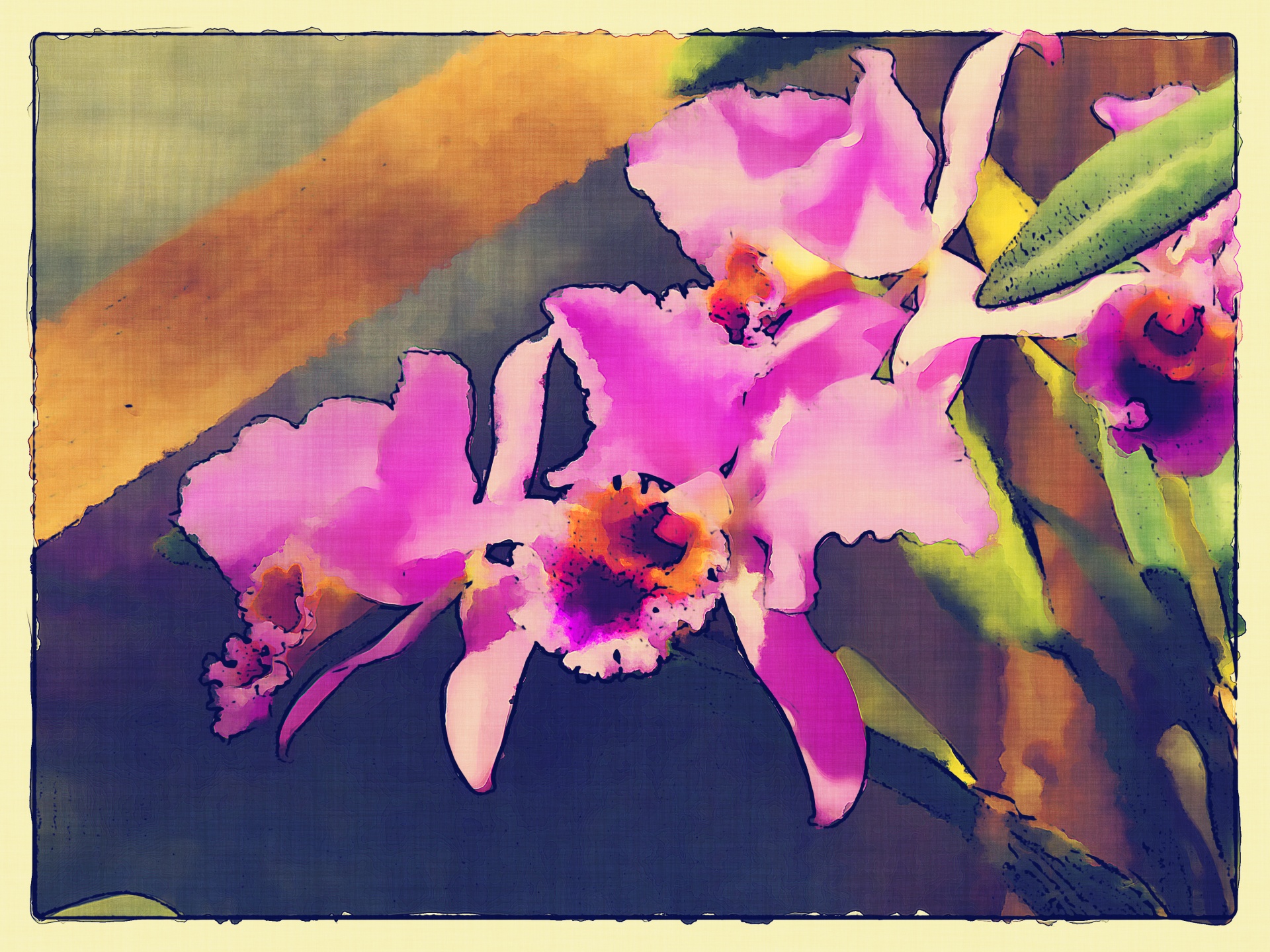 Orquídeas cor de rosa