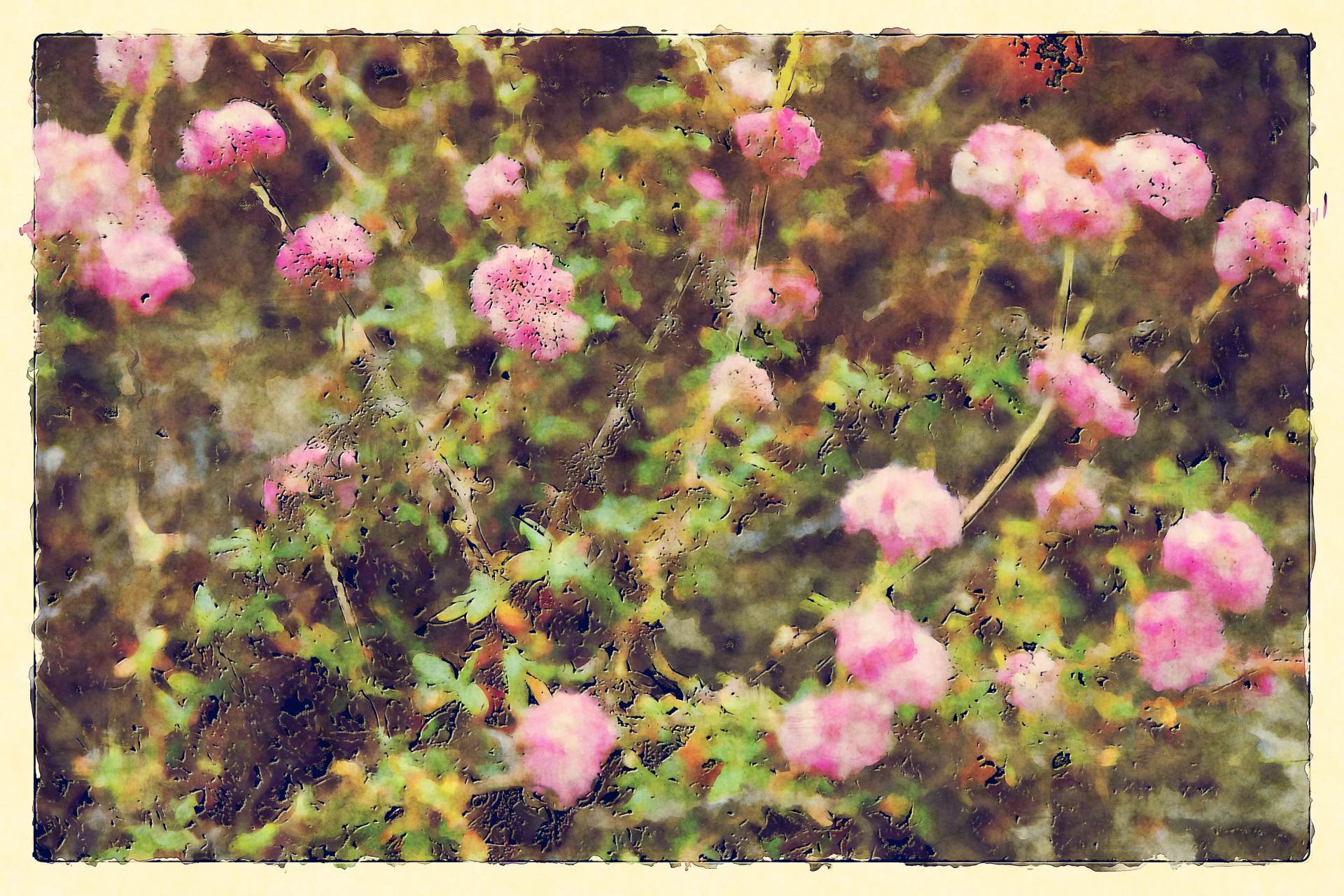 Flores silvestres rosadas