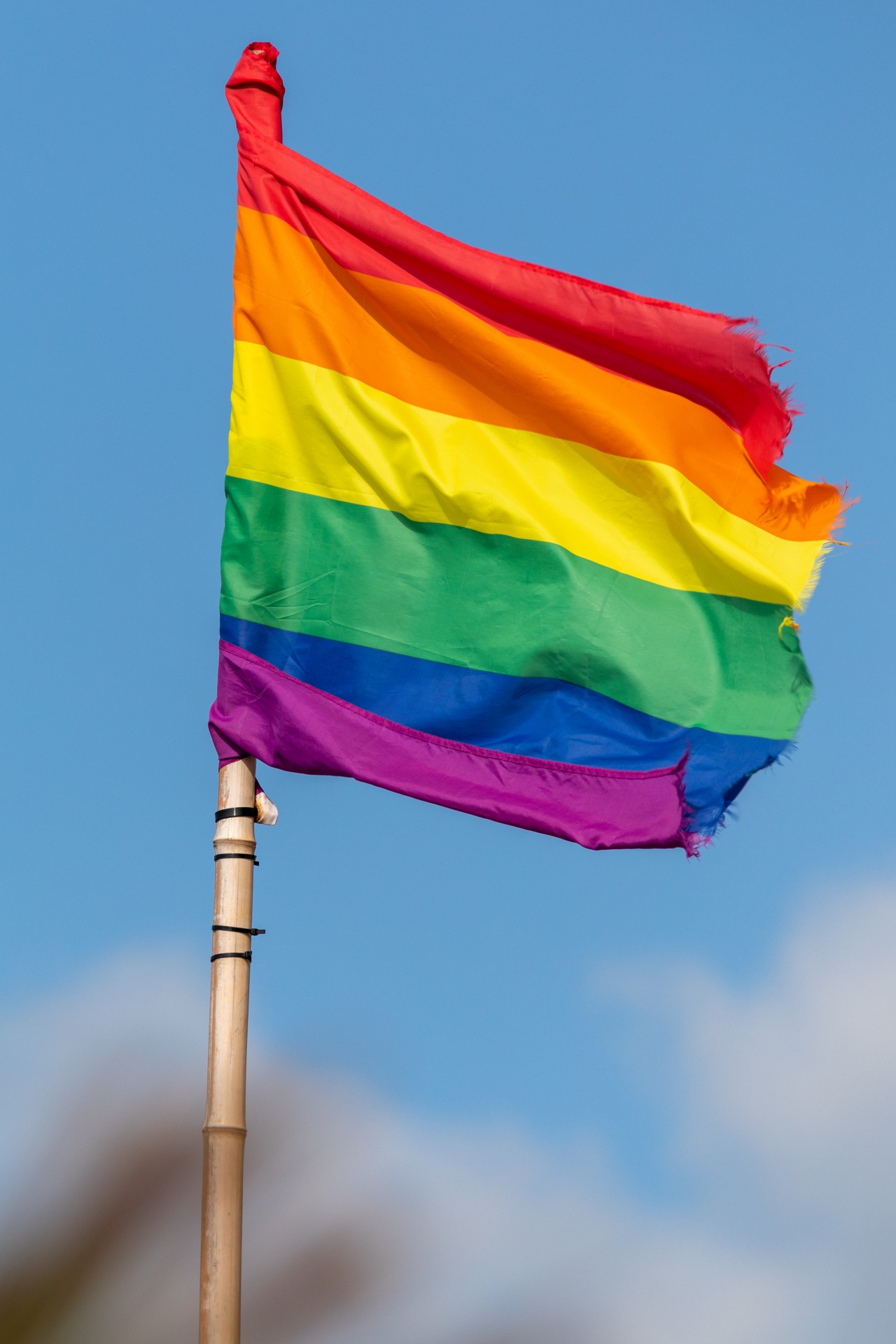 Bandeira do arco-íris