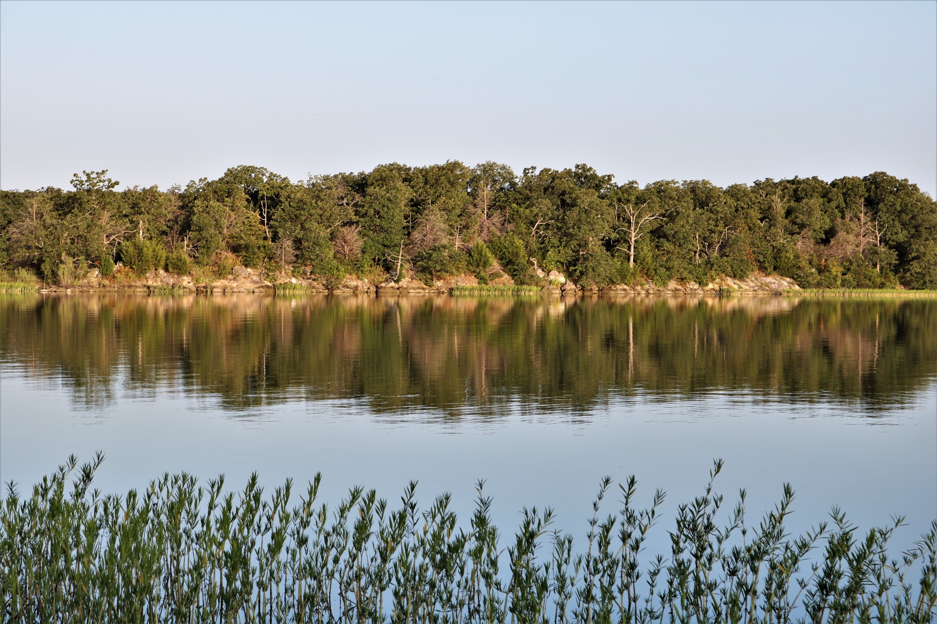 Reflexões no lago no verão