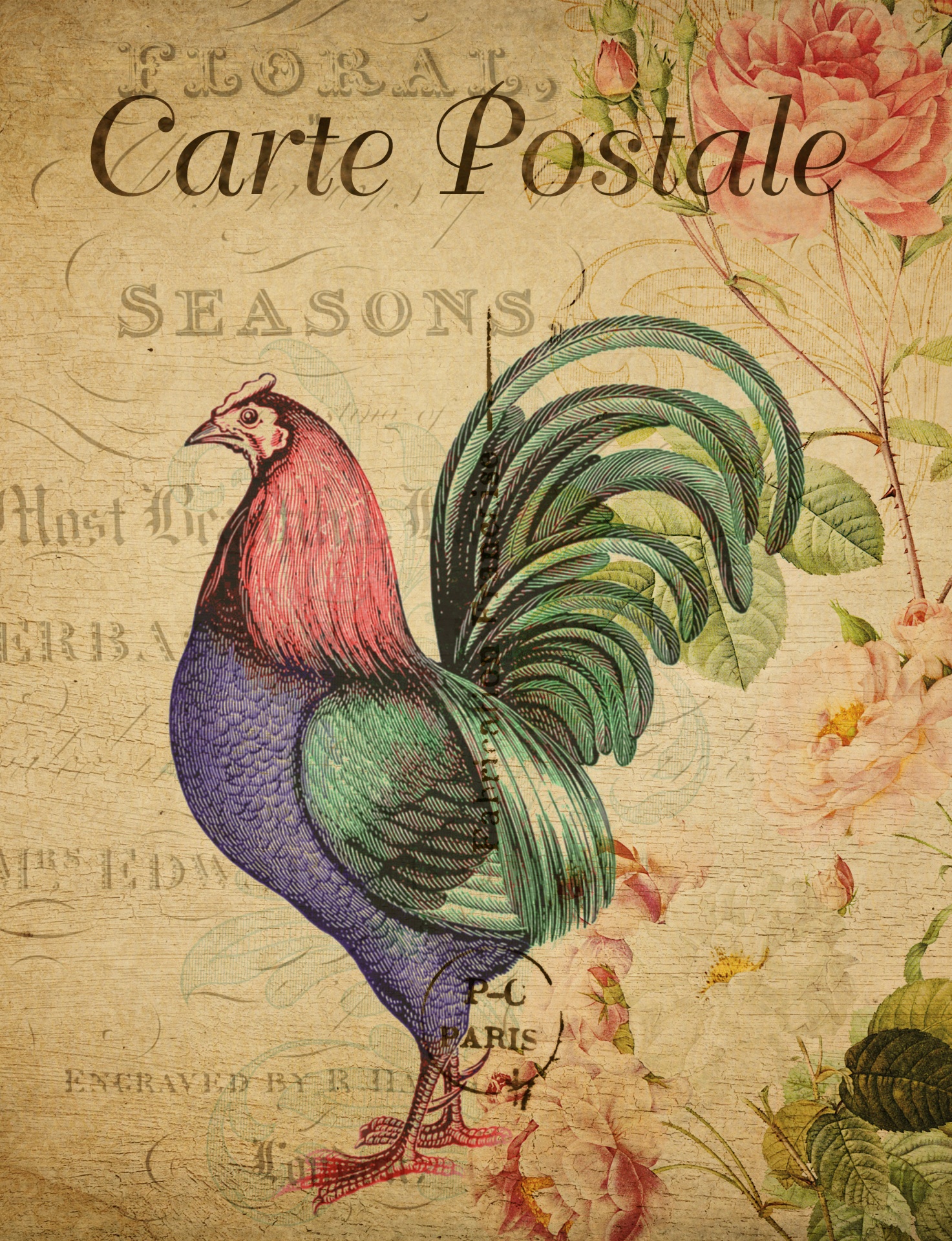 Cartão floral do vintage do galo