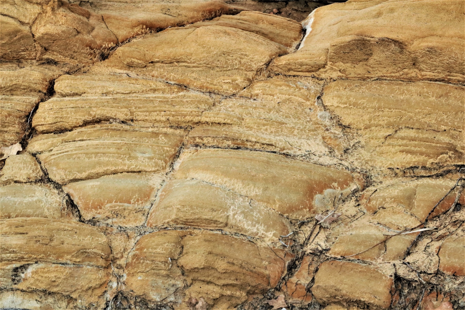 Sandstone Texture Background