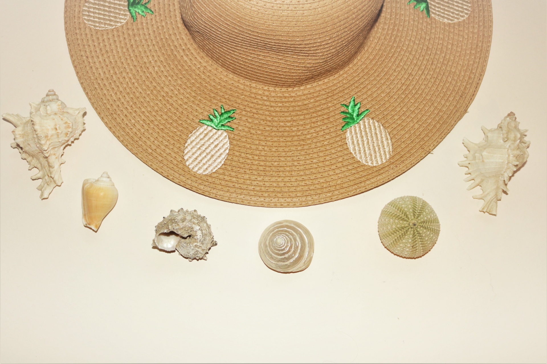 Conchas marinas y sombrero de paja en bl