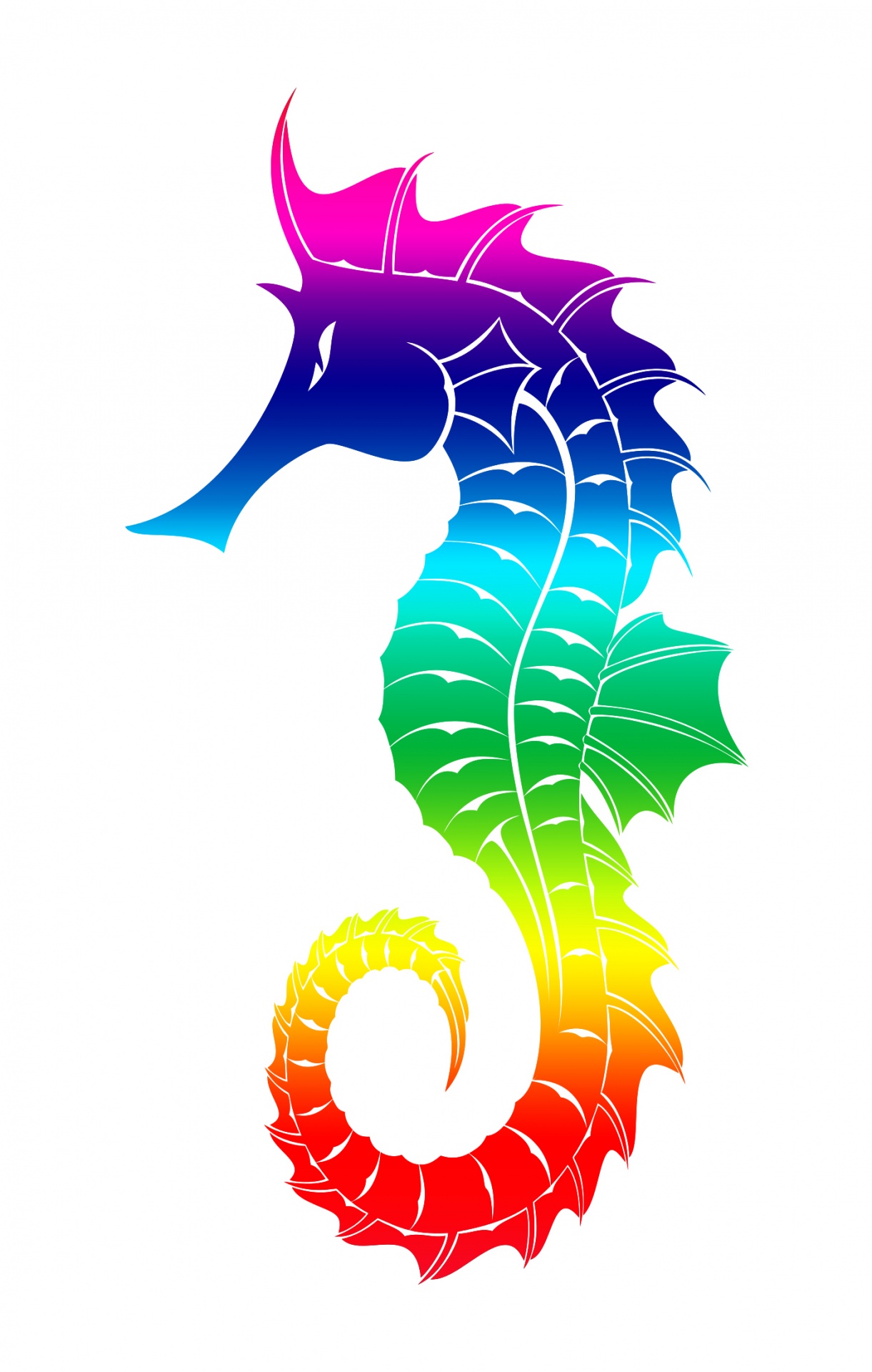 Barvy duhy mořský koník