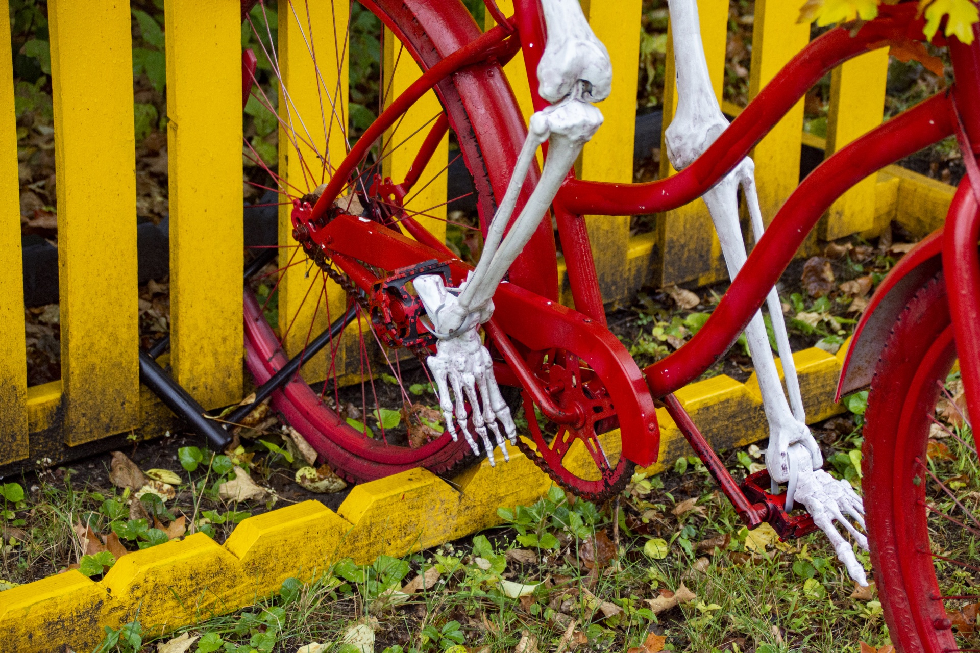 Skeleton Legs On Bike Pedals