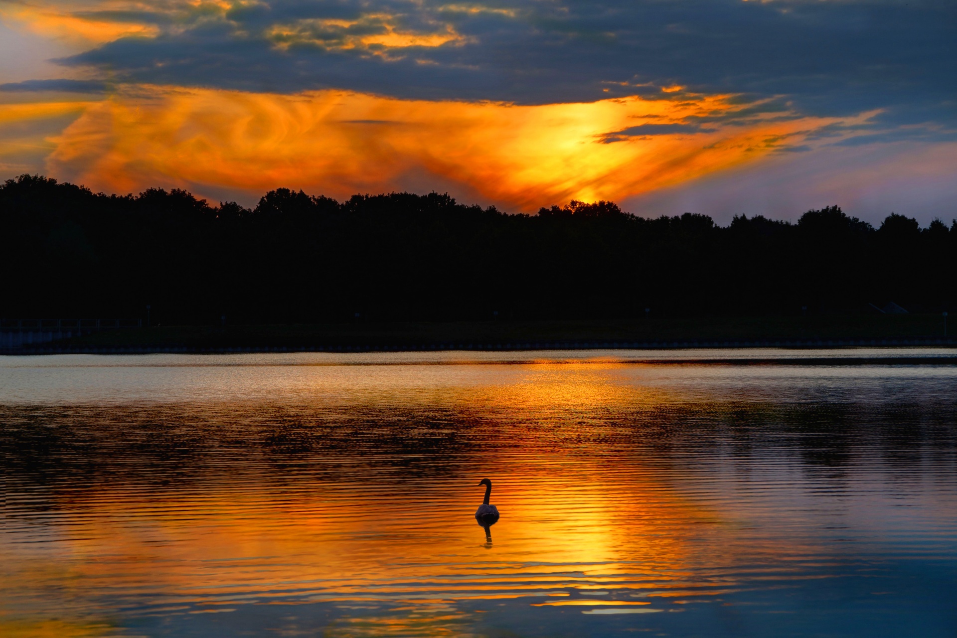 Západ slunce vodní labutí jezero