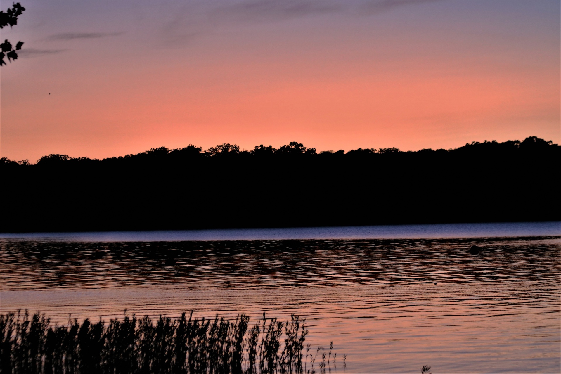 Letní západ slunce nad jezerem
