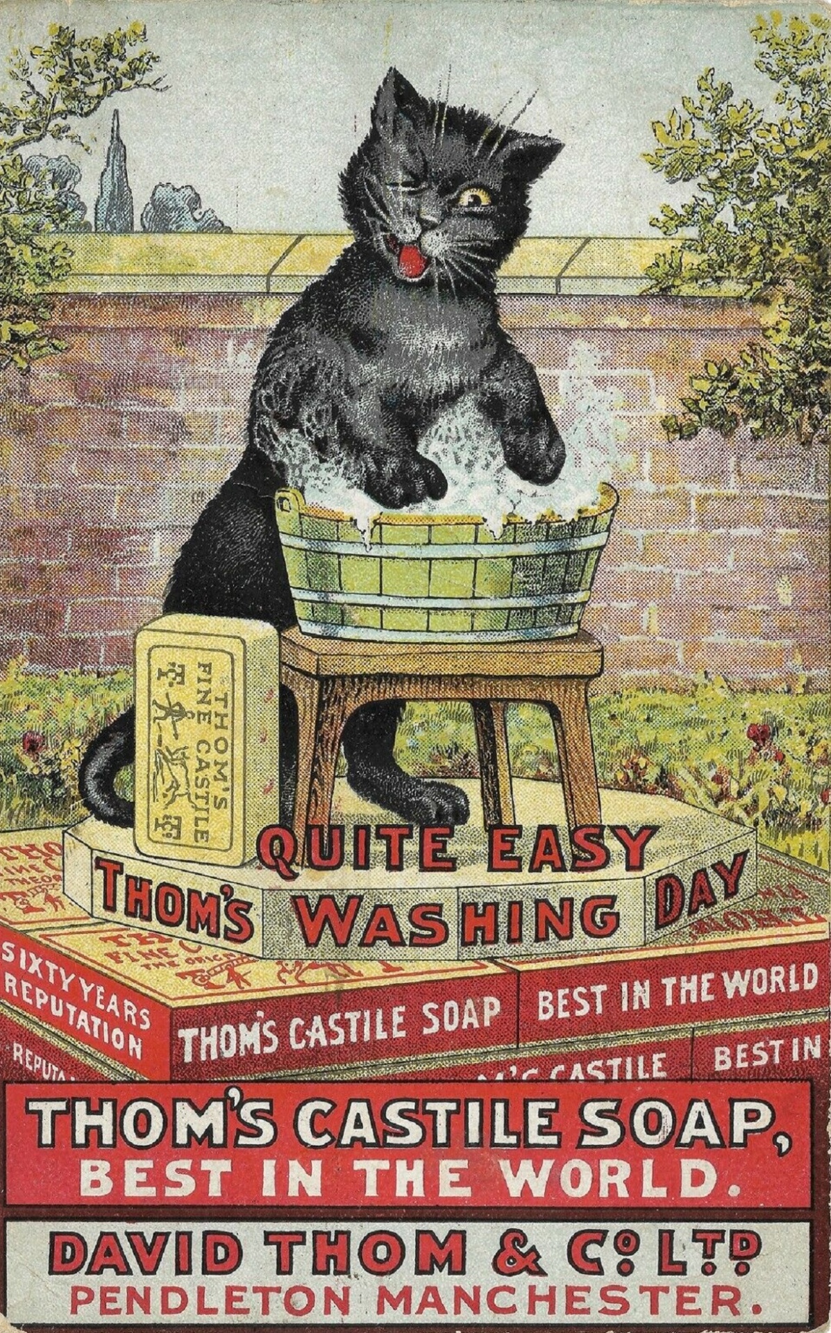 Thomi kasztília szappan fekete macska 19
