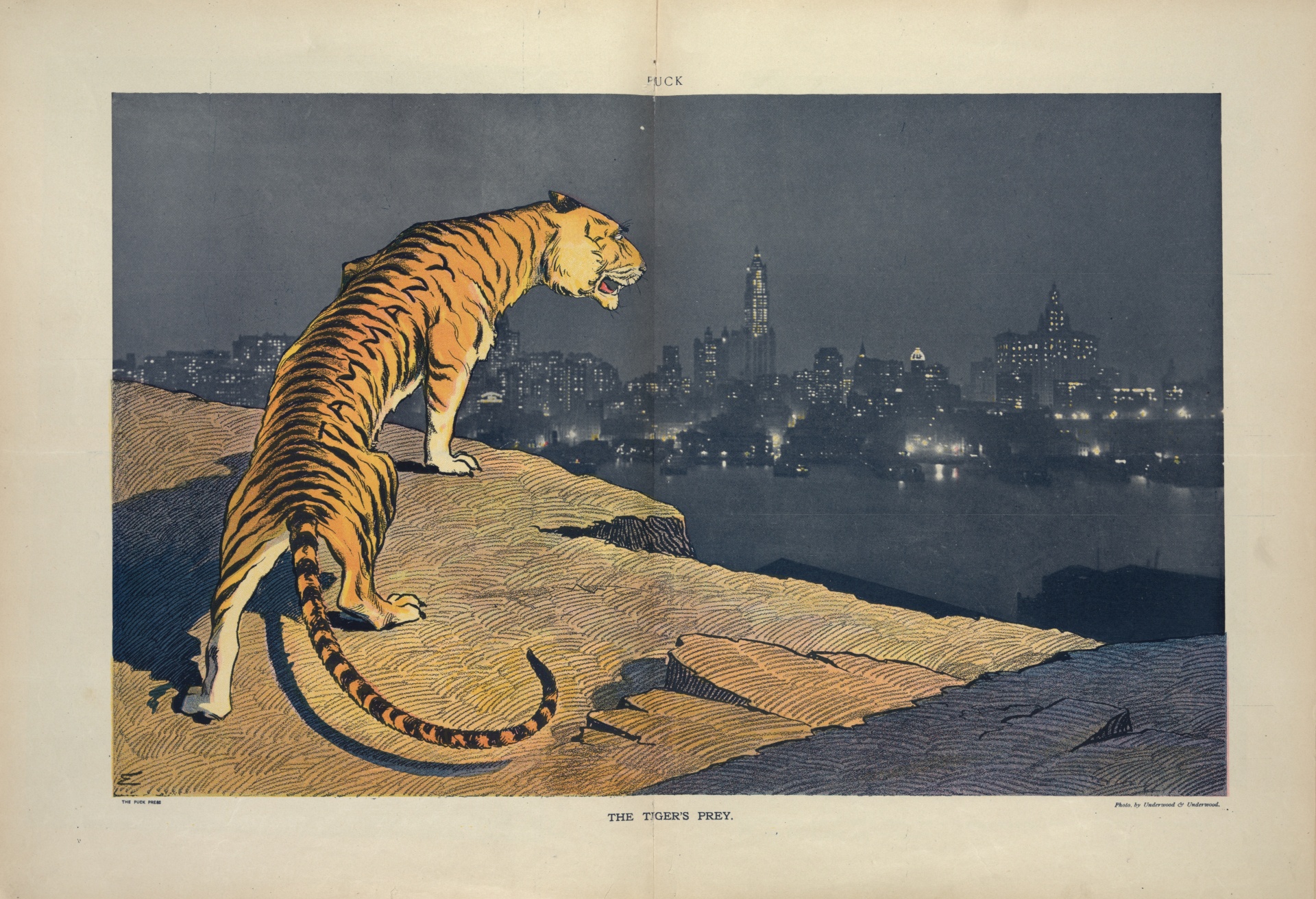 Tygři kořistí Manhattan v New Yorku