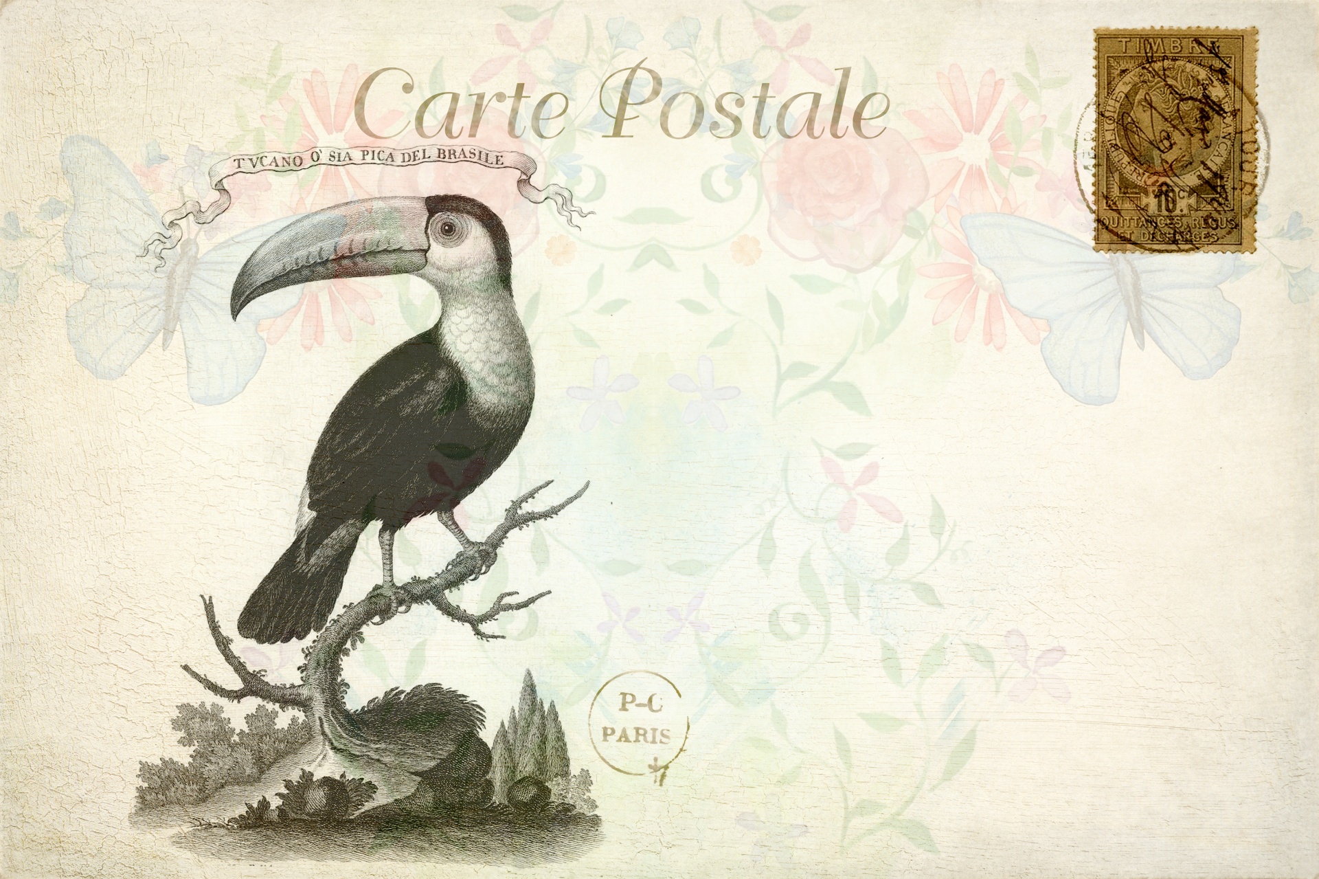 Postal floral francesa de tucán