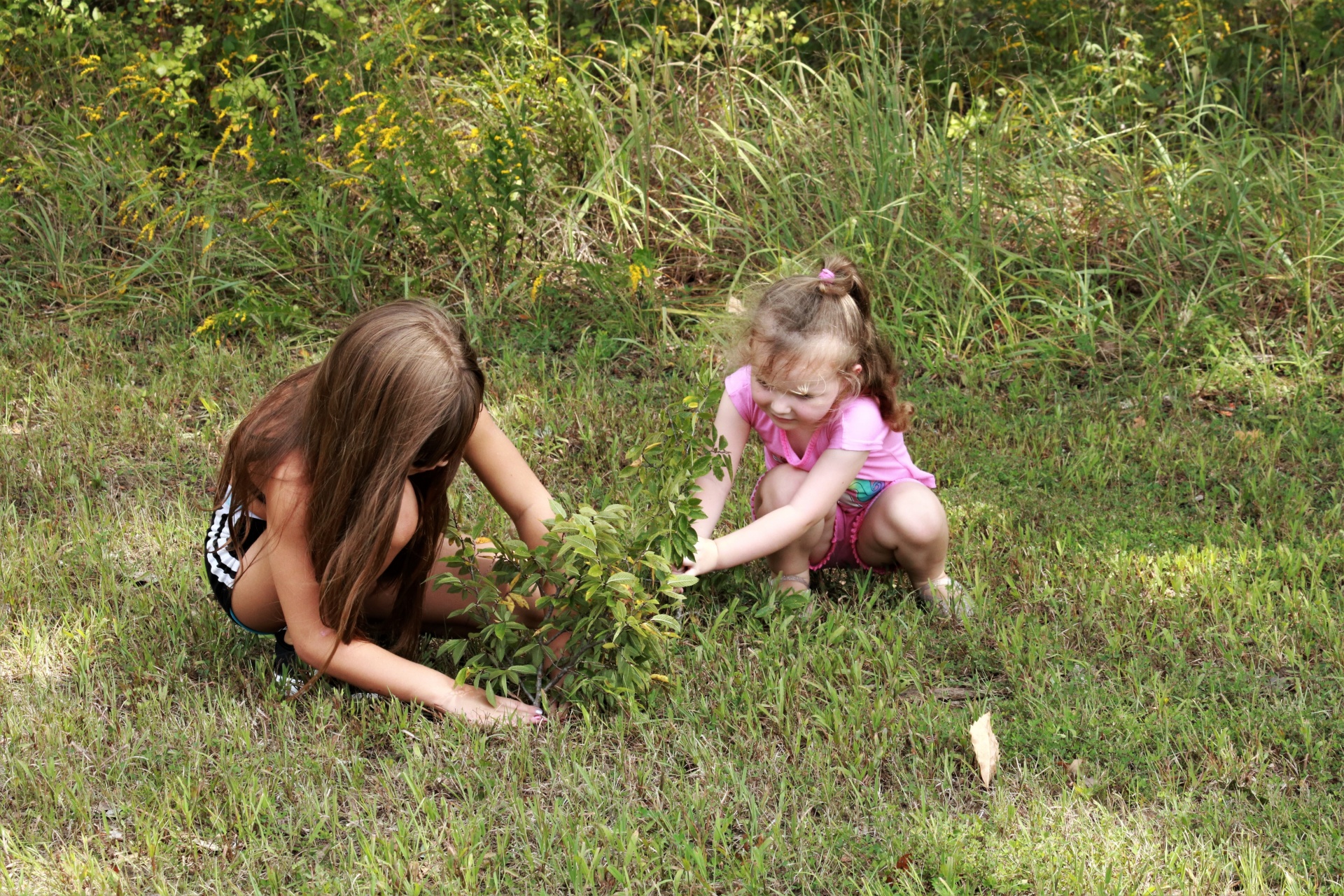Dvě malé holčičky výsadba stromů