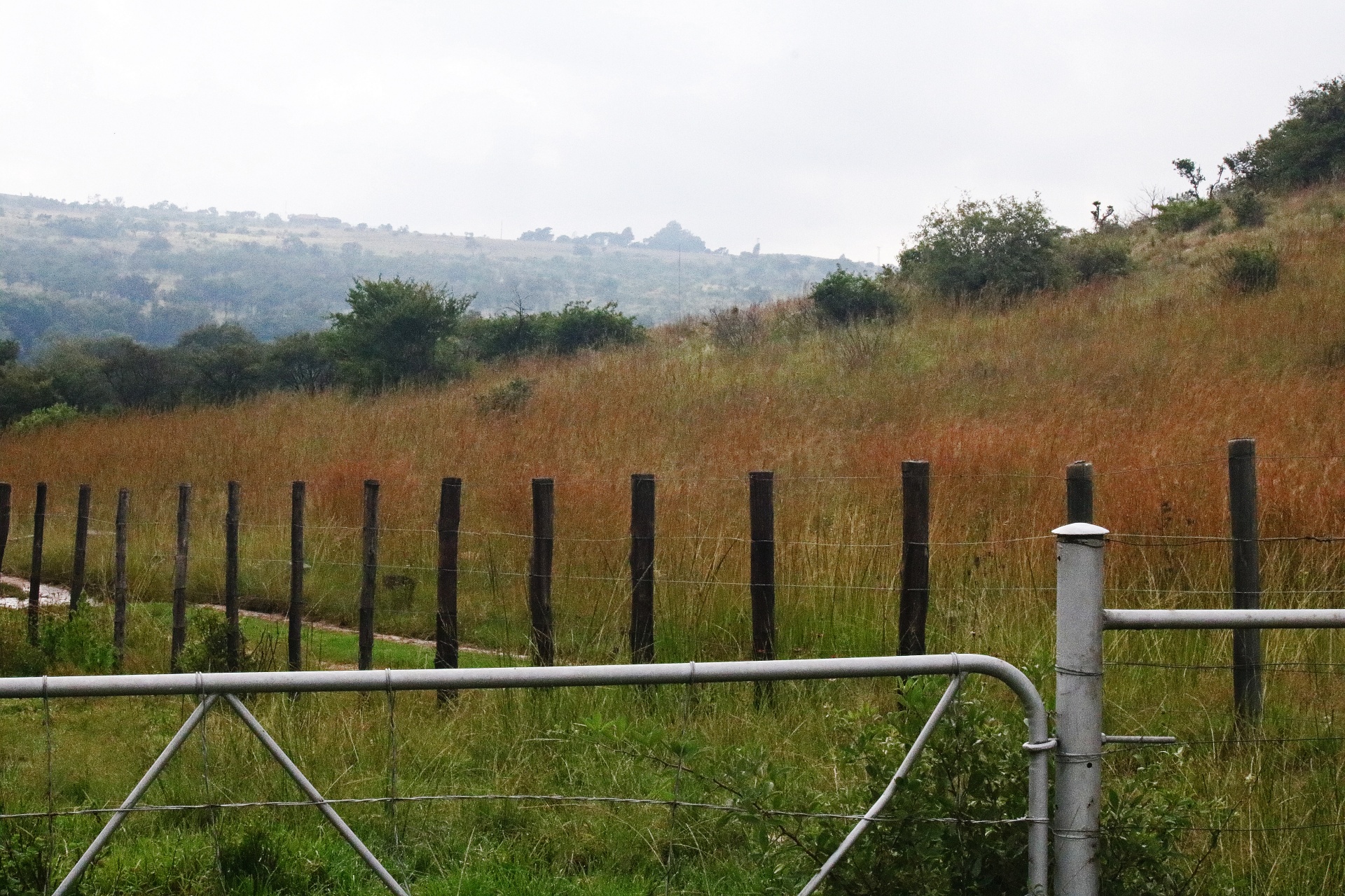 Pohled na farmě brány a plotu