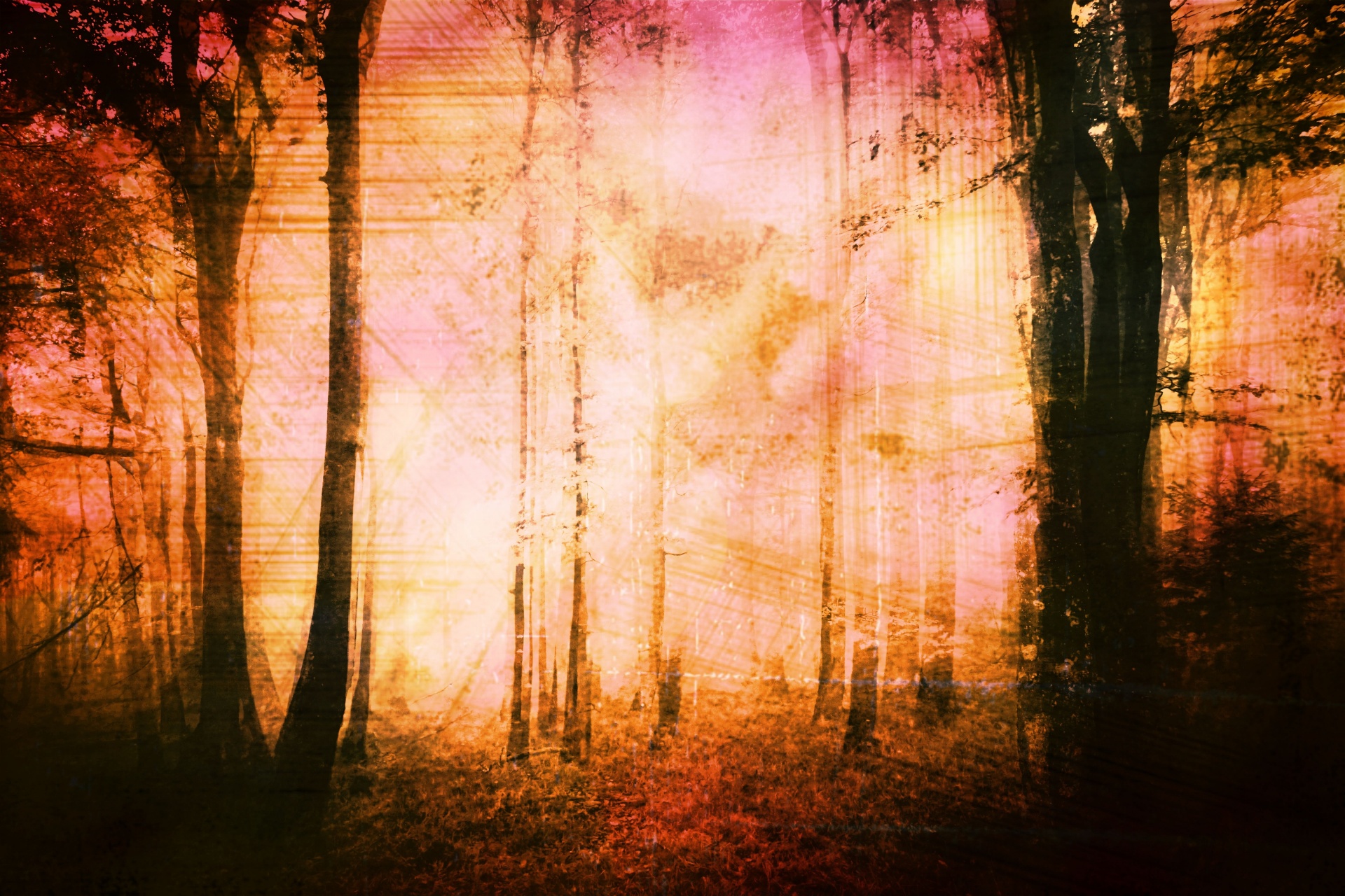 Forest Abstraktní podzimní pozadí