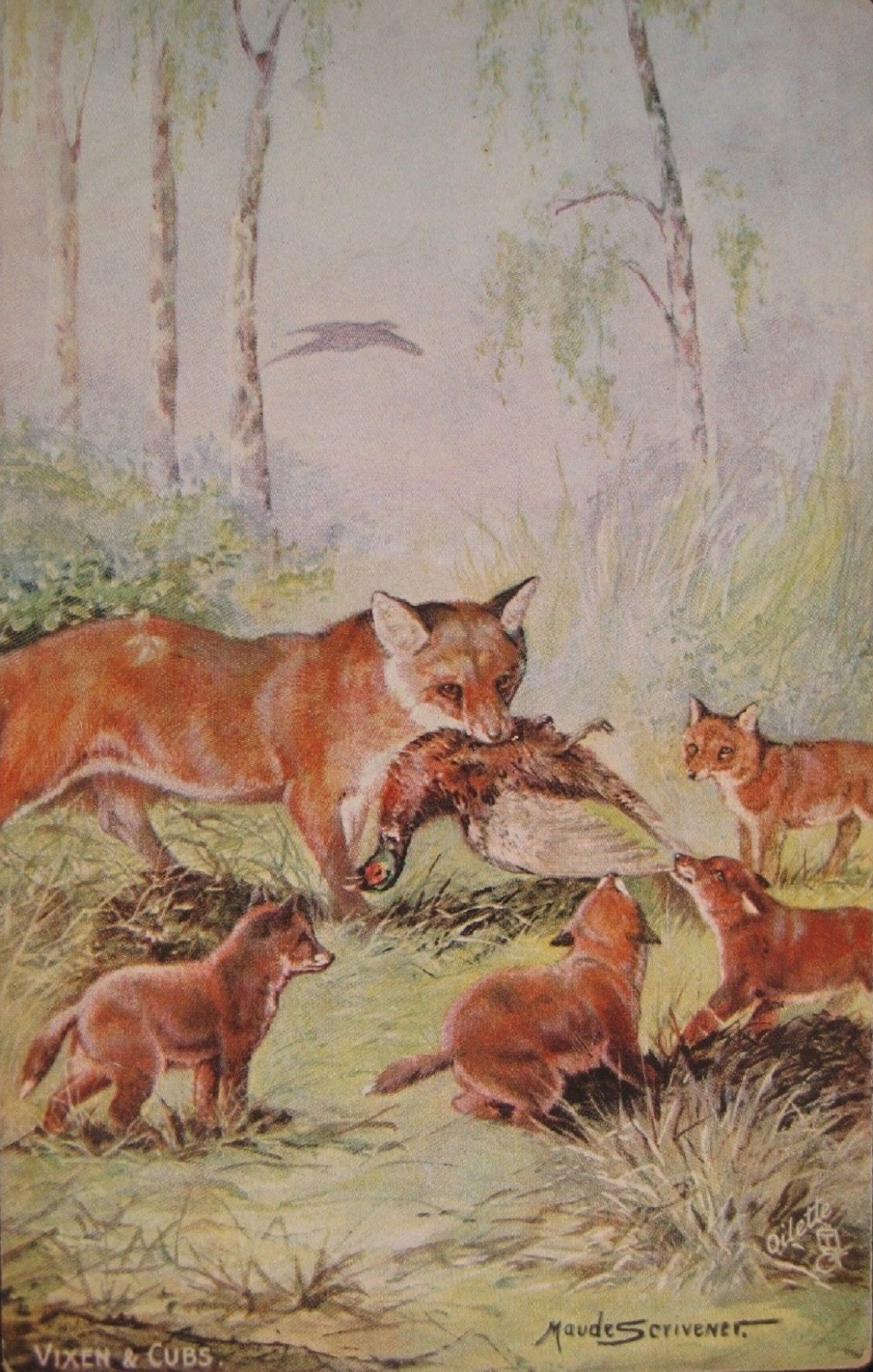 Vixen & Cubs Fox By Maude Scrivener