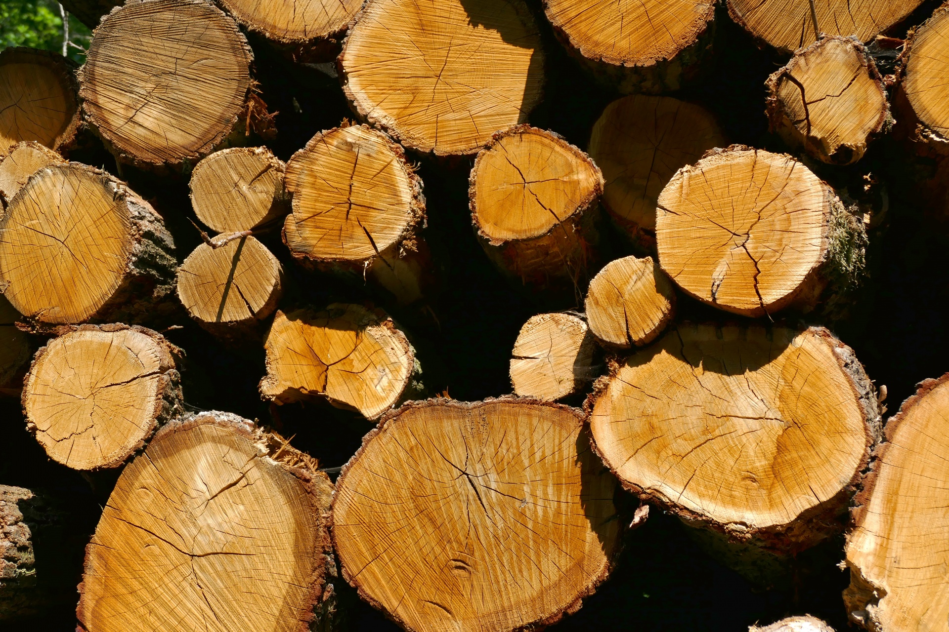 Dřevěné kulatiny