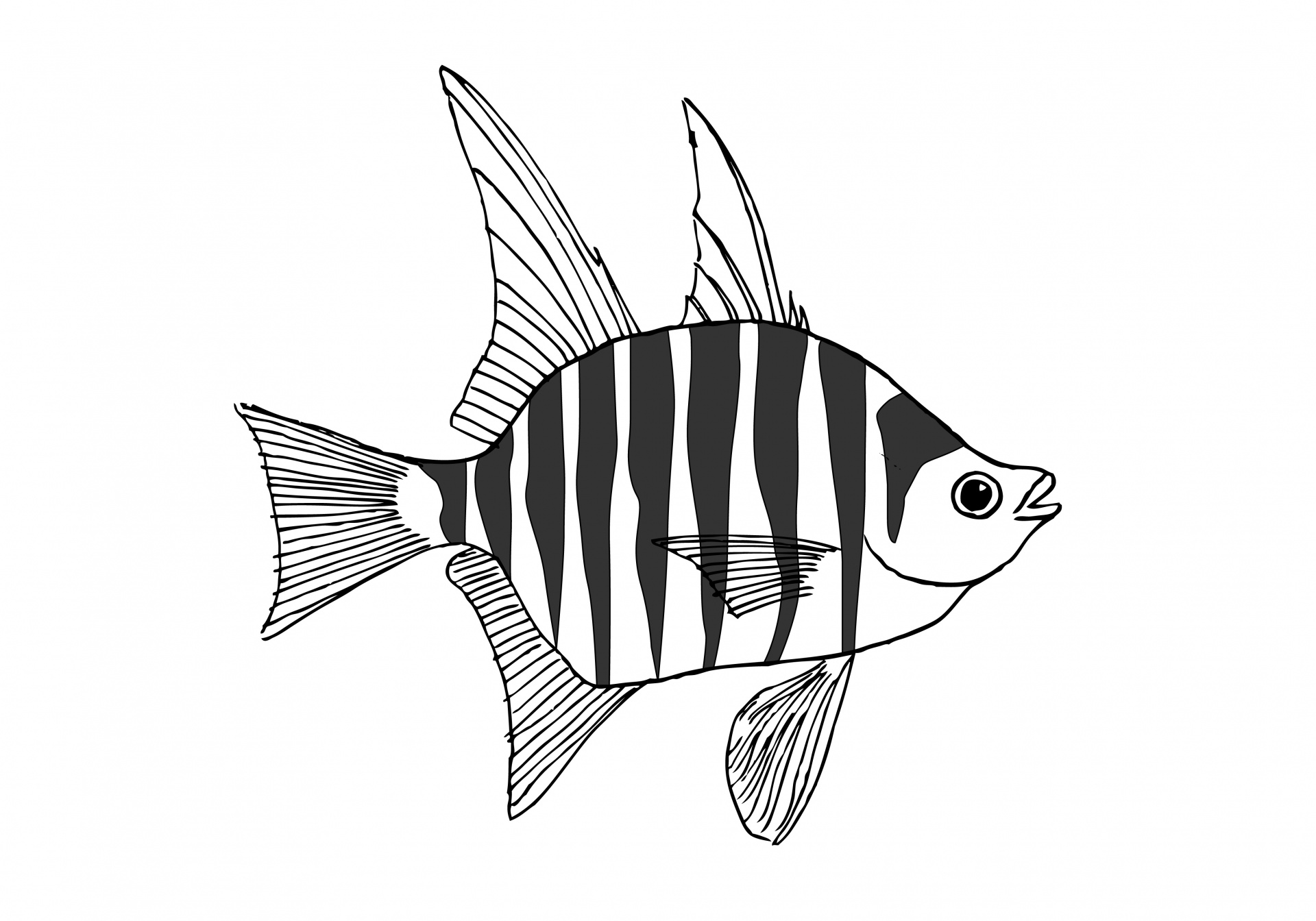 Desenho de peixe zebra