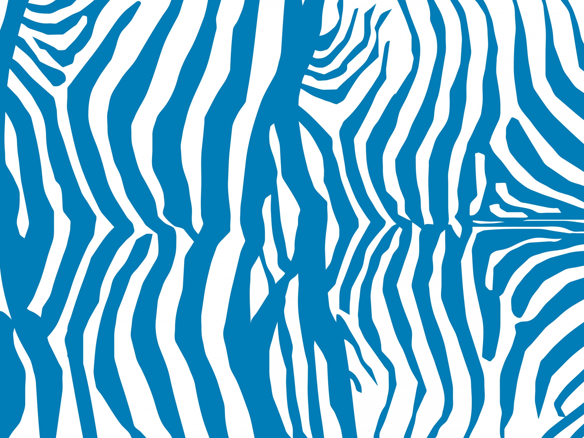 A zebra listra o azul