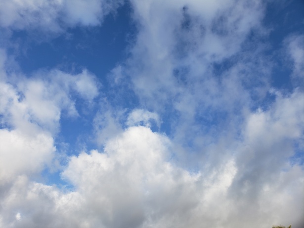 Cumulus Clouds Background Free Stock Photo - Public Domain Pictures