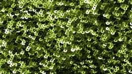 Sfondo di paillettes verde avocado