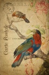 Cartão floral do vintage dos pássaros
