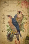 Cartolina francese vintage di uccelli