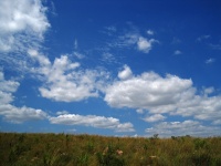 Céu azul com nuvens sobre pastagens