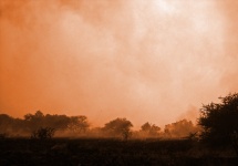 Bush fire in sepia tinten in Afrika