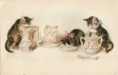 Cats Drinking Milk Helena Maguire