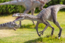 Compsognathus dinoszaurusz