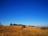 Pastagem seca em uma colina