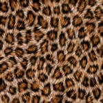 Gatto giaguaro leopardo in pelliccia