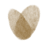 Fingerprint Heart PNG