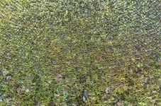 Grön pärlstav bakgrund