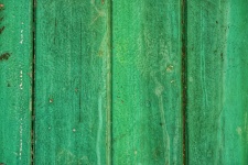 Texture en bois verte.