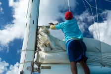 Hoisting the sail
