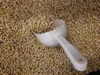 White Dry Navy Beans